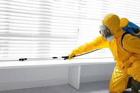 Best Pest Control for Multi-Family Homes  in Chinle, AZ